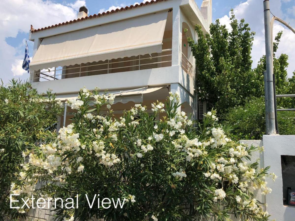Gnick Apartments 600M From The Coast Lagonisi Dış mekan fotoğraf